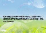 蜡笔物理学豪华版和普通版有什么区别(图都一样么介绍 蜡笔物理学豪华版和普通版有什么区别 图都一样么详细情况如何)