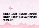 DNF怎么截图?自动保存在哪?介绍(DNF怎么截图?自动保存在哪?详细情况如何)