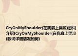 CryOnMyShoulder(在我肩上哭泣)歌词介绍(CryOnMyShoulder(在我肩上哭泣)歌词详细情况如何)