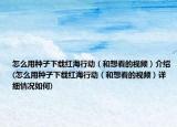 怎么用种子下载红海行动（和想看的视频）介绍(怎么用种子下载红海行动（和想看的视频）详细情况如何)