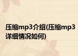 压缩mp3介绍(压缩mp3详细情况如何)