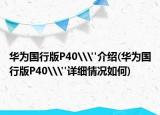 华为国行版P40\