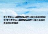 银牙传说weed哪里可以看到46集以后的漫画介绍(银牙传说weed哪里可以看到46集以后的漫画详细情况如何)