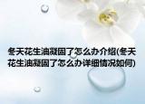 冬天花生油凝固了怎么办介绍(冬天花生油凝固了怎么办详细情况如何)