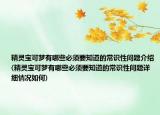 精灵宝可梦有哪些必须要知道的常识性问题介绍(精灵宝可梦有哪些必须要知道的常识性问题详细情况如何)