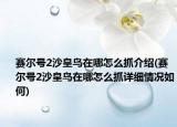 赛尔号2沙皇鸟在哪怎么抓介绍(赛尔号2沙皇鸟在哪怎么抓详细情况如何)
