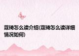 蔻琦怎么读介绍(蔻琦怎么读详细情况如何)