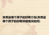 夹克是哪个牌子的好呢介绍(夹克是哪个牌子的好呢详细情况如何)
