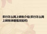 农行怎么网上转账介绍(农行怎么网上转账详细情况如何)