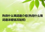 热得什么填词语介绍(热得什么填词语详细情况如何)