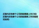 近期内还有哪个公司的股票要上市介绍(近期内还有哪个公司的股票要上市详细情况如何)