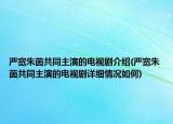 严宽朱茵共同主演的电视剧介绍(严宽朱茵共同主演的电视剧详细情况如何)