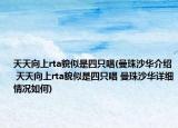 天天向上rta貌似是四只唱(曼珠沙华介绍 天天向上rta貌似是四只唱 曼珠沙华详细情况如何)