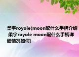柔宇royole(moon配什么手柄介绍 柔宇royole moon配什么手柄详细情况如何)