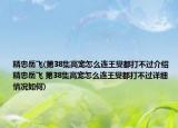 精忠岳飞(第38集高宠怎么连王燮都打不过介绍 精忠岳飞 第38集高宠怎么连王燮都打不过详细情况如何)