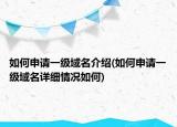 如何申请一级域名介绍(如何申请一级域名详细情况如何)