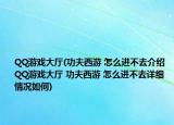 QQ游戏大厅(功夫西游 怎么进不去介绍 QQ游戏大厅 功夫西游 怎么进不去详细情况如何)