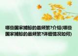 哪些国家捕鲸的最频繁?介绍(哪些国家捕鲸的最频繁?详细情况如何)