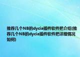 推荐几个NB的dycia插件软件把介绍(推荐几个NB的dycia插件软件把详细情况如何)