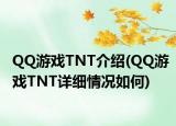 QQ游戏TNT介绍(QQ游戏TNT详细情况如何)