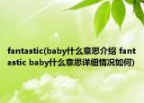 fantastic(baby什么意思介绍 fantastic baby什么意思详细情况如何)