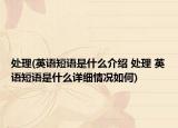 处理(英语短语是什么介绍 处理 英语短语是什么详细情况如何)