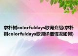 求朴树colorfuldays歌词介绍(求朴树colorfuldays歌词详细情况如何)
