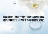 暗夜精灵打兽有什么好战术么介绍(暗夜精灵打兽有什么好战术么详细情况如何)