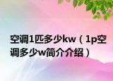 空调1匹多少kw（1p空调多少w简介介绍）
