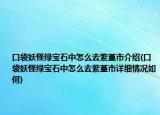 口袋妖怪绿宝石中怎么去紫堇市介绍(口袋妖怪绿宝石中怎么去紫堇市详细情况如何)