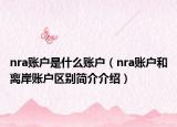 nra账户是什么账户（nra账户和离岸账户区别简介介绍）