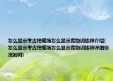 怎么显示考古挖掘场怎么显示宠物训练师介绍(怎么显示考古挖掘场怎么显示宠物训练师详细情况如何)
