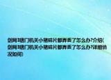 剑网3唐门机关小猪碎片都弄丢了怎么办?介绍(剑网3唐门机关小猪碎片都弄丢了怎么办?详细情况如何)