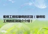蜜蜂工蜂和雄蜂的区别（雄蜂和工蜂的区别简介介绍）