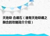 天地劫 合魂石（谁有天地劫魂之融合的攻略简介介绍）