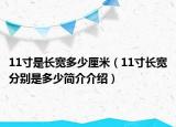 11寸是长宽多少厘米（11寸长宽分别是多少简介介绍）