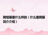 网络猫是什么样的（什么是网猫简介介绍）