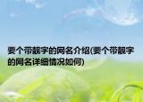 要个带靓字的网名介绍(要个带靓字的网名详细情况如何)