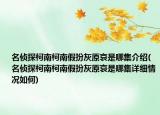 名侦探柯南柯南假扮灰原哀是哪集介绍(名侦探柯南柯南假扮灰原哀是哪集详细情况如何)