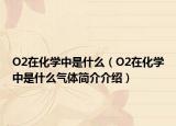O2在化学中是什么（O2在化学中是什么气体简介介绍）