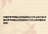 中国世界500强企业背后的执行力怎么样介绍(中国世界500强企业背后的执行力怎么样详细情况如何)
