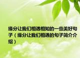 缘分让我们相遇相知的一些美好句子（缘分让我们相遇的句子简介介绍）