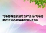 飞毛腿电池质量怎么样介绍(飞毛腿电池质量怎么样详细情况如何)