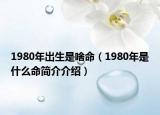 1980年出生是啥命（1980年是什么命简介介绍）