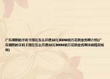 广东揭阳的手机卡现在怎么开通10元300M的万花筒业务啊介绍(广东揭阳的手机卡现在怎么开通10元300M的万花筒业务啊详细情况如何)