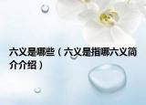 六义是哪些（六义是指哪六义简介介绍）