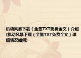 机动风暴下载（全集TXT免费全文）介绍(机动风暴下载（全集TXT免费全文）详细情况如何)