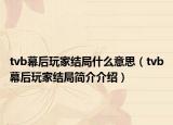 tvb幕后玩家结局什么意思（tvb幕后玩家结局简介介绍）