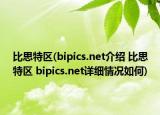 比思特区(bipics.net介绍 比思特区 bipics.net详细情况如何)