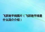 飞跃地平线图片（飞跃地平线是什么简介介绍）